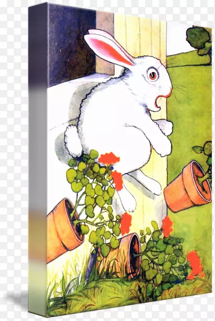 家养兔子复活节兔子彼得兔子
