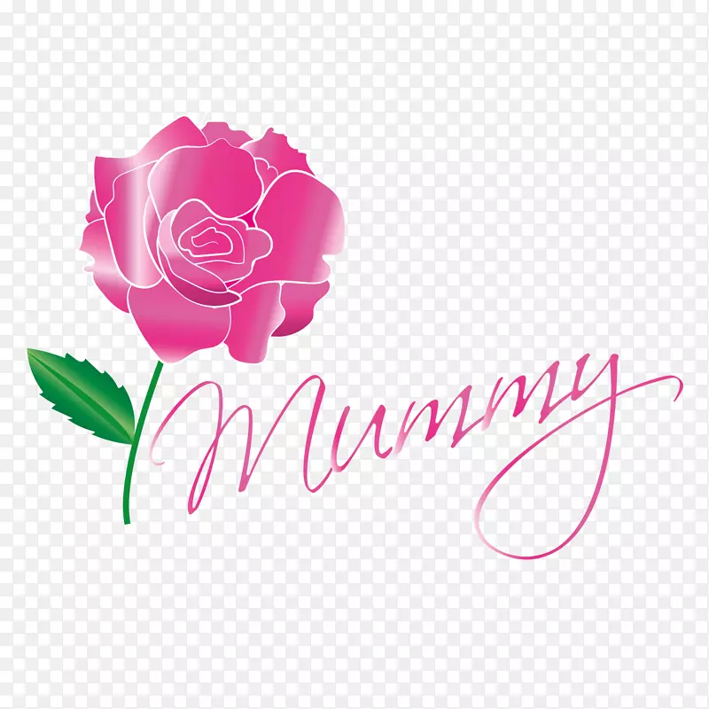 花园玫瑰，花卉标志，墙贴-母亲节平面设计