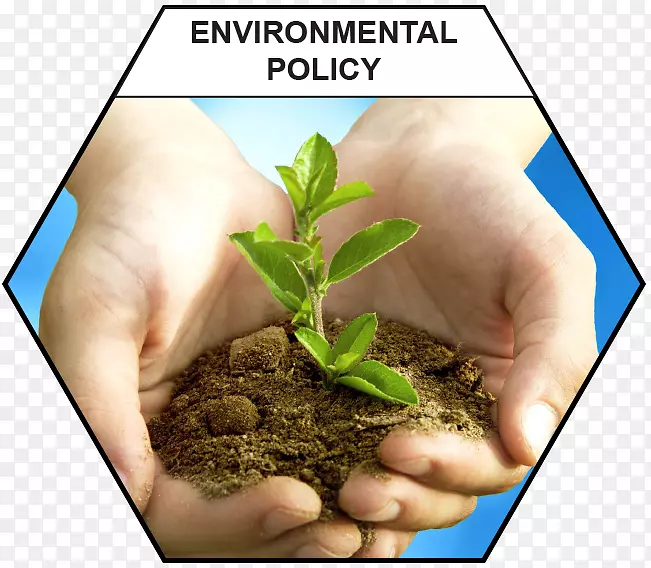艾哈迈达巴德商业服务公司自然环境摄影-环境公司