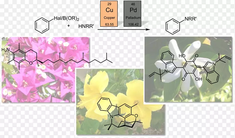 花型设计芳香胺芳基杂环化合物芳香性抽象图