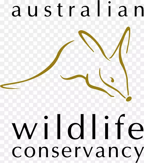 澳大利亚野生动物保护斯科舍保护区考拉-澳大利亚