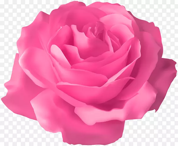 玫瑰花夹艺术-粉红色别针