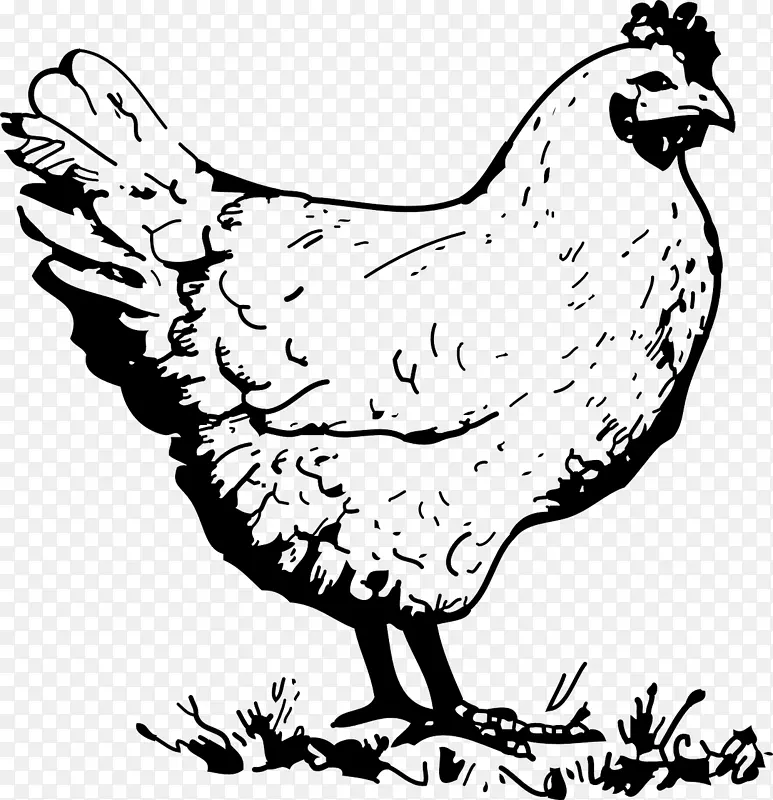 Wyandotte鸡，Galliformes，公鸡，家禽剪贴画.鸡漆