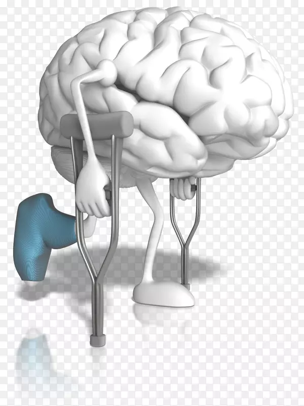 人脑脊髓脑叶-静息脑