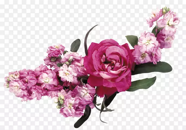 花园玫瑰花环-花冠标志