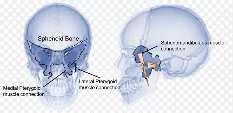 蝶骨颞下颌关节功能障碍