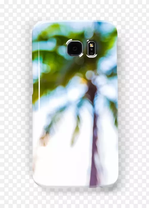 手机配件iPhone-海报装饰棕榈叶
