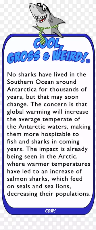 关于鲨鱼的脊椎动物：世界上最被误解的捕食者饥饿鲨鱼世界侏儒蓝鲨-气候变化的完整指南