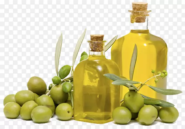 希腊菜橄榄油地中海料理-油厂