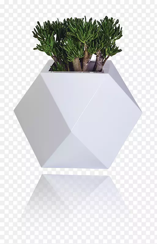 花盆设计师项目工业设计-三角形钻石