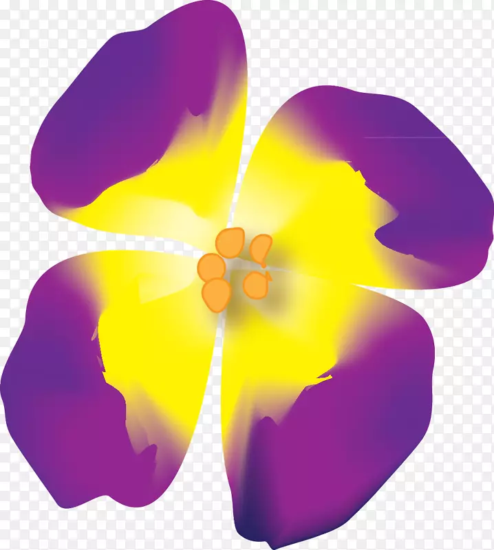 紫罗兰科-紫花瓣