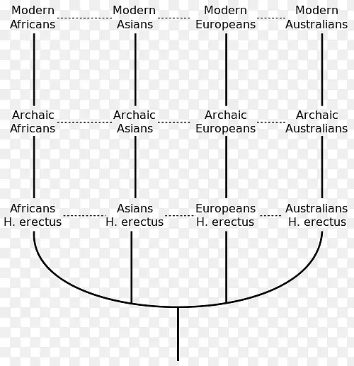 现代人类的多区域起源现代人类的非洲起源人类进化人类古人类文明人类