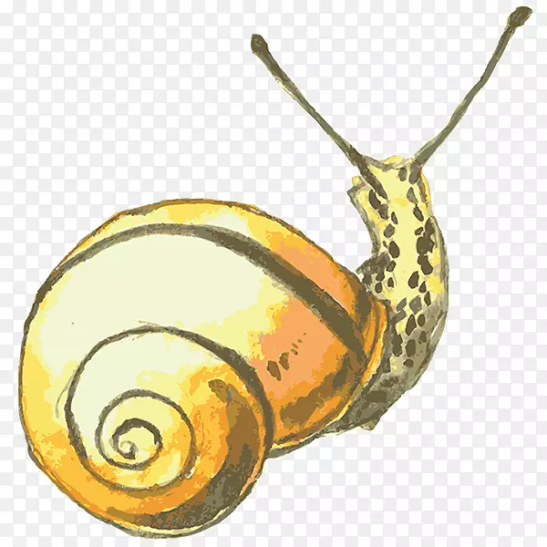 蜗牛画水彩画-蜗牛