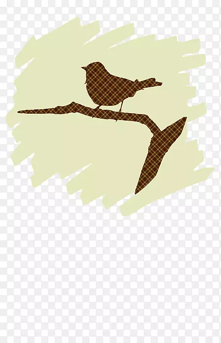 鹰嘴鸟