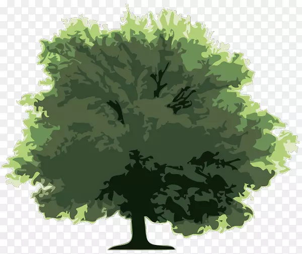 树-树元素