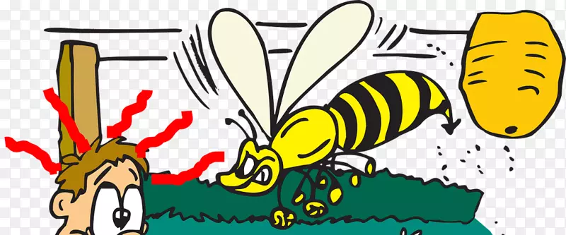 黄蜂、蜜蜂、昆虫、欧洲黄蜂剪贴画-风门