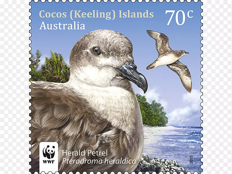 亚洲和澳大利亚的鸟类、茧(龙骨)岛、澳大利亚邮政邮票和澳大利亚邮政历史-通缉邮票
