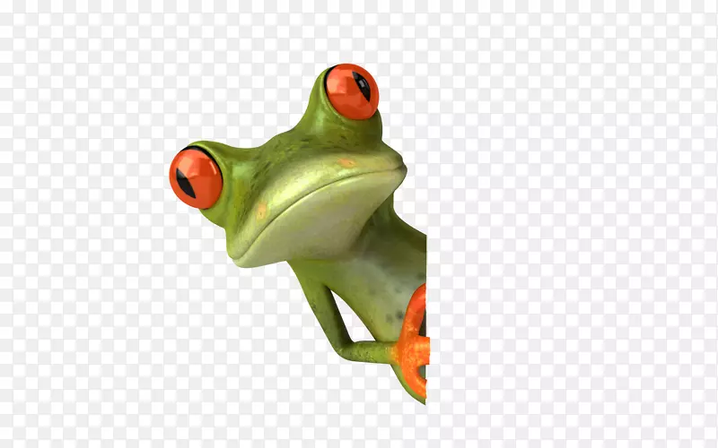 真正的青蛙两栖动物澳大利亚绿色树蛙-青蛙