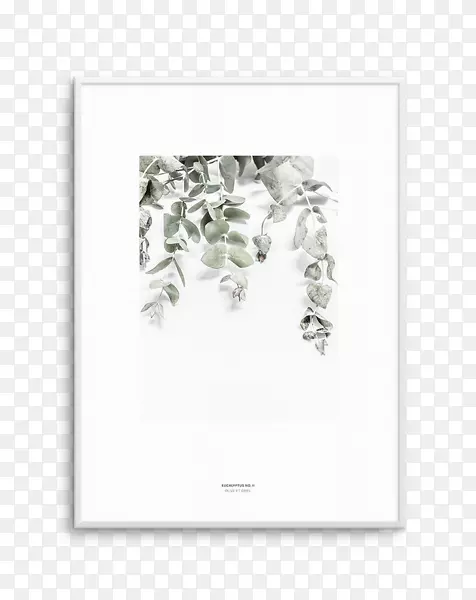 树胶树海报，木犀草印刷版画.植物橄榄