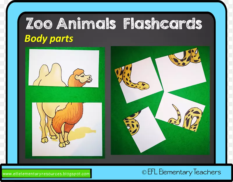 闪光卡英语作为第二语言或外语动物教师游戏-动物园部分