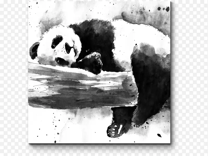 大熊猫熊水彩画纸熊