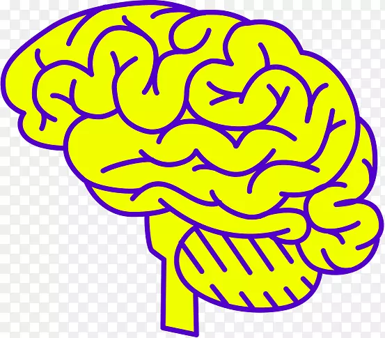 脑视觉知觉、视错觉、神经科学.科学脑