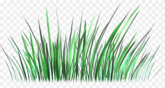 绿草线-热爱自然环境