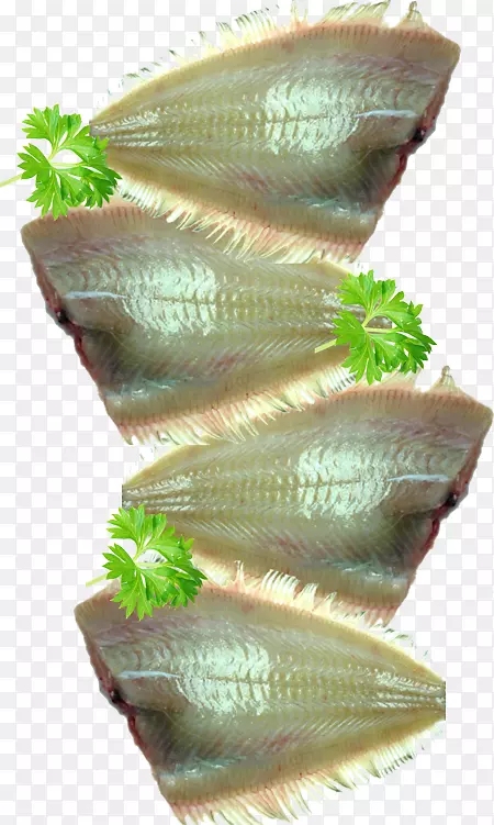 生鱼片、鲭鱼、海鲜鱼制品-海鲜火锅