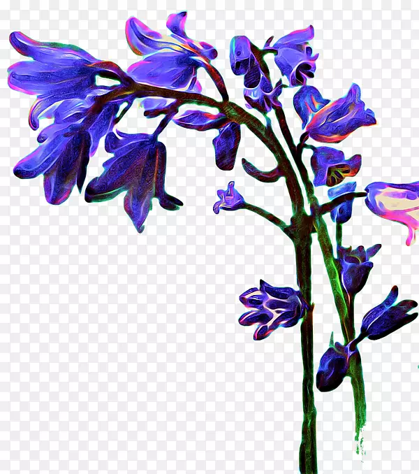 薰衣草切花花型紫罗兰