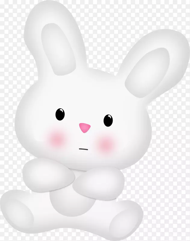 国内兔子复活节兔欧洲兔-2岁生日