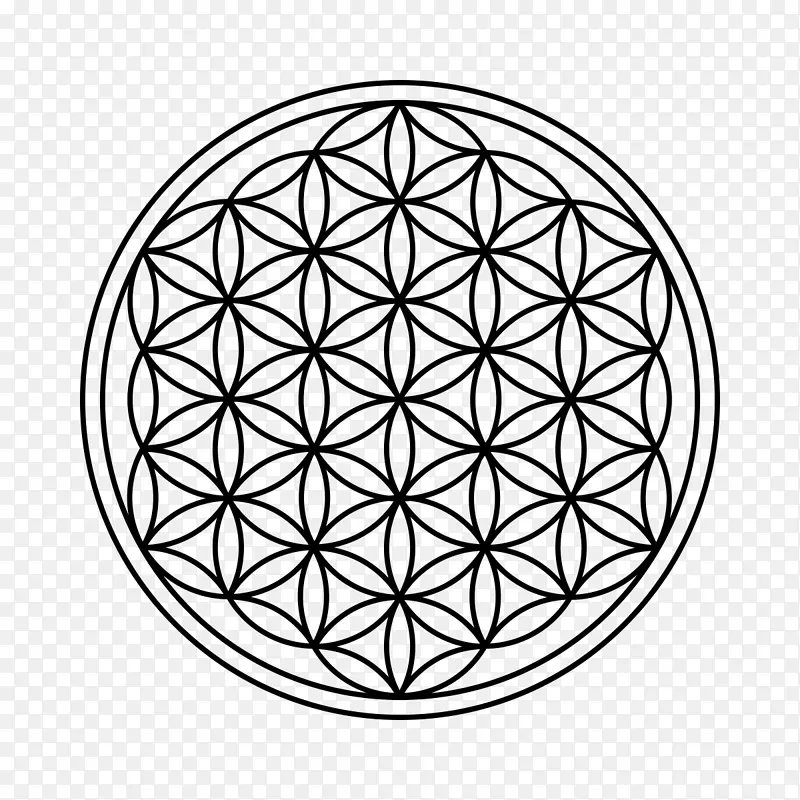 维特鲁维人神圣的几何学重叠圆网格-圆