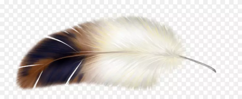 液晶投影仪羽毛液晶显示腔棕色羽毛