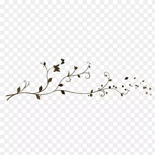 光景花卉植物茎摄影-七月一日
