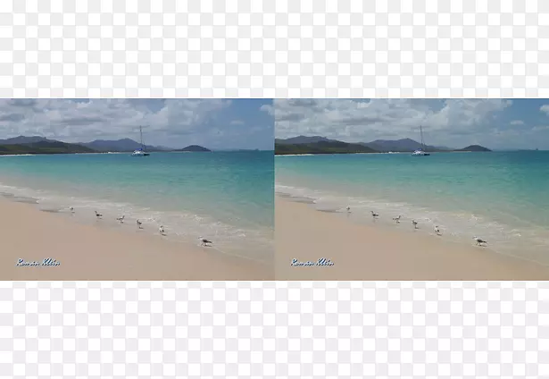加勒比海海滩海岸入海口-项目现实