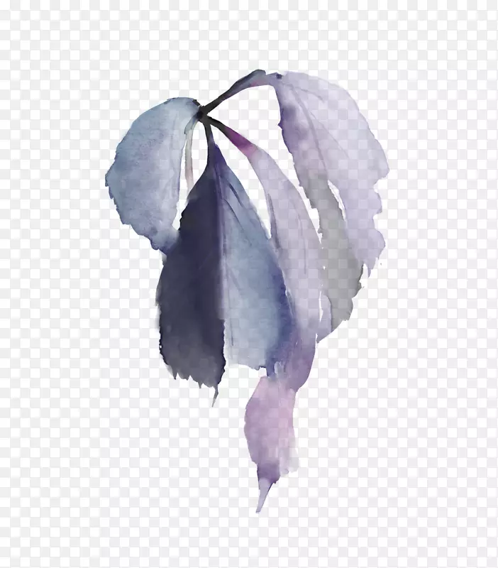 花瓣水彩画手绘绣球