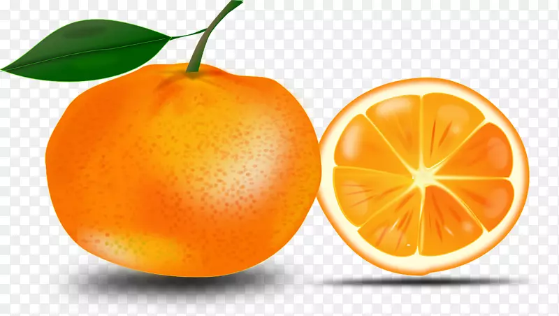 橙色电脑图标剪贴画-橙色