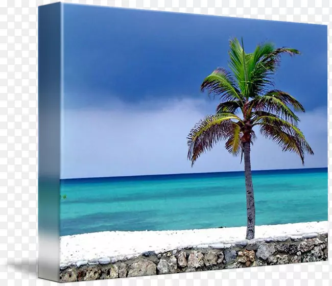 加勒比海桌面壁纸，海画框，槟榔科-海