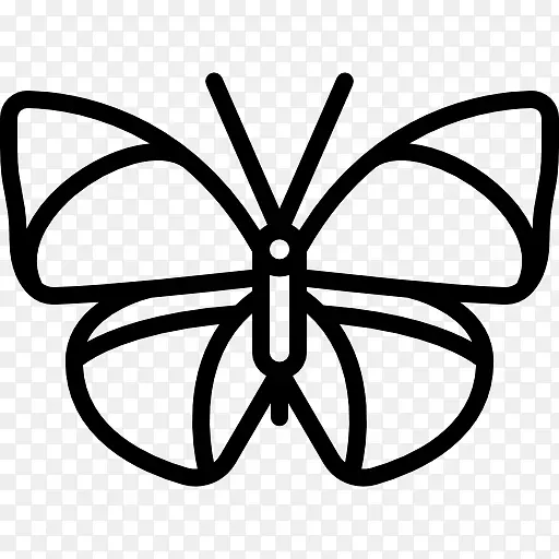 毛茸茸的蝴蝶线艺术对称剪贴画蝴蝶