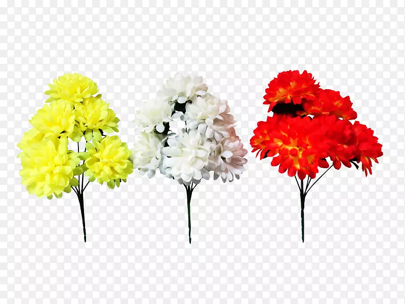 十字花科雏菊花型切花菊花
