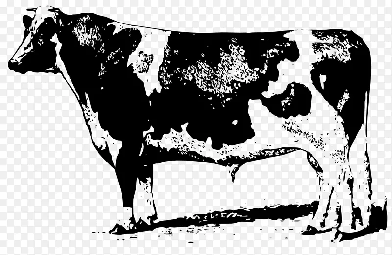 肉牛运动衫牛安格斯牛剪贴画-两头牛