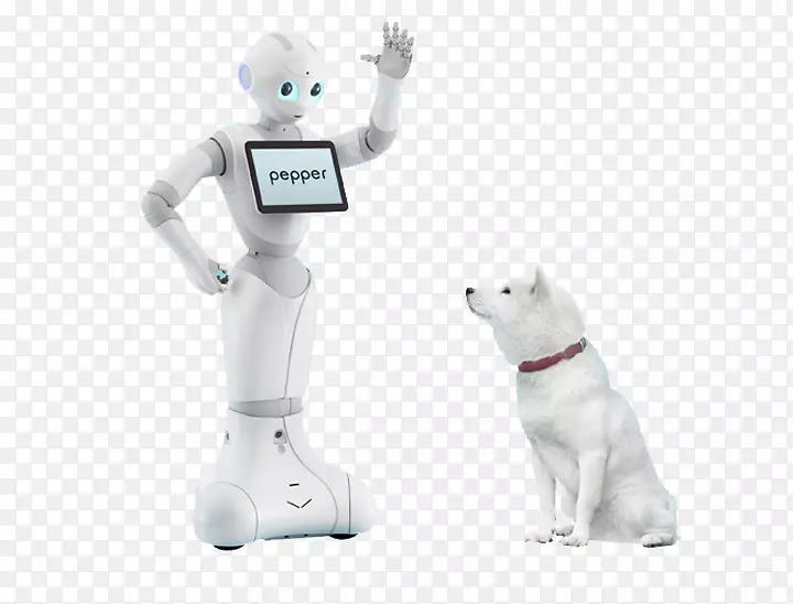胡椒类人机器人软库机器人公司医疗机器人-胡椒