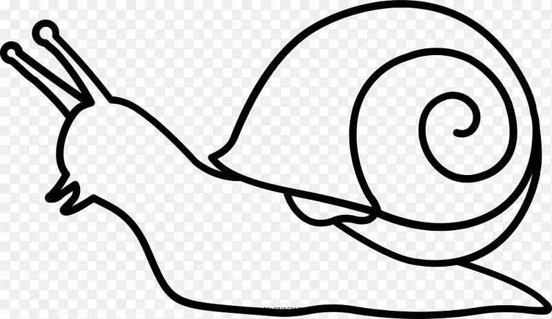蜗牛画着色书绘画-蜗牛