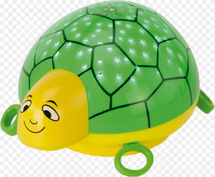 海龟夜光绿