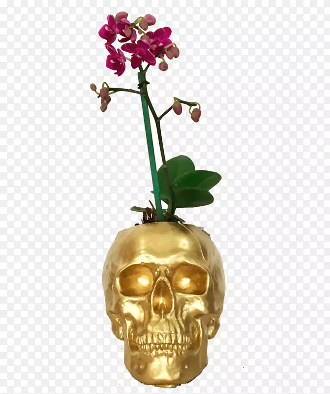 蛾兰花瓶金属花瓶