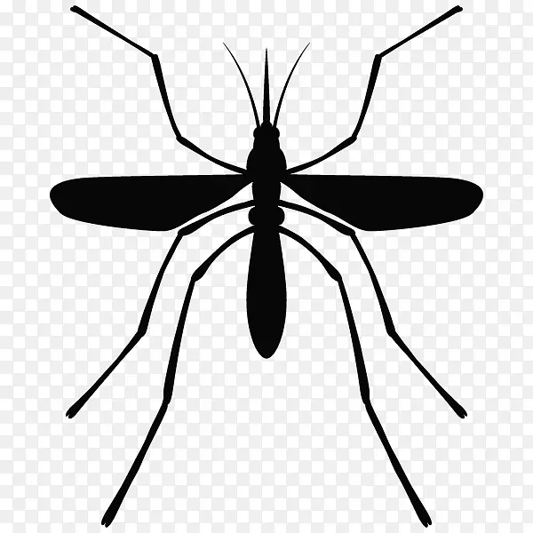 灭蚊杀虫剂蟑螂-蚊子