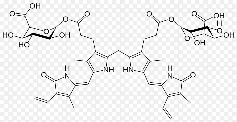 胆红素、二葡萄糖醛酸、血红素分解代谢-鲁宾