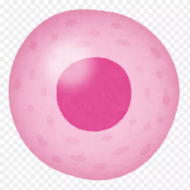 粉红色m体细胞