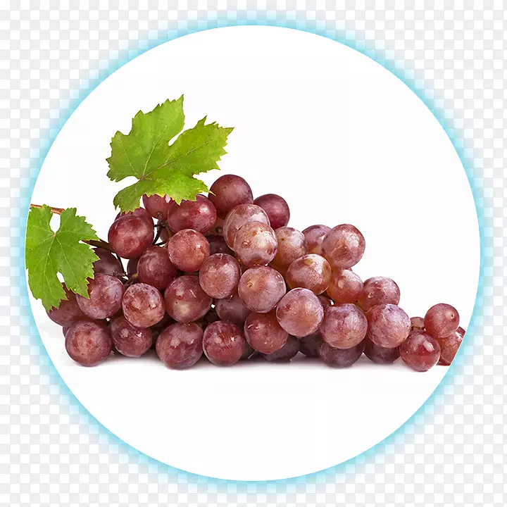 普通葡萄