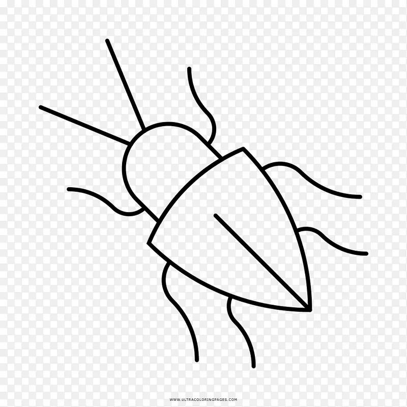 黑白甲虫剪贴画-甲虫