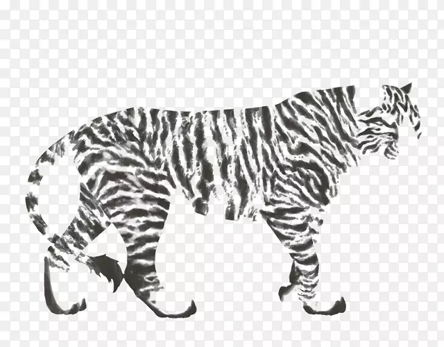 虎、猫科、狮子、鬣狗、-虎